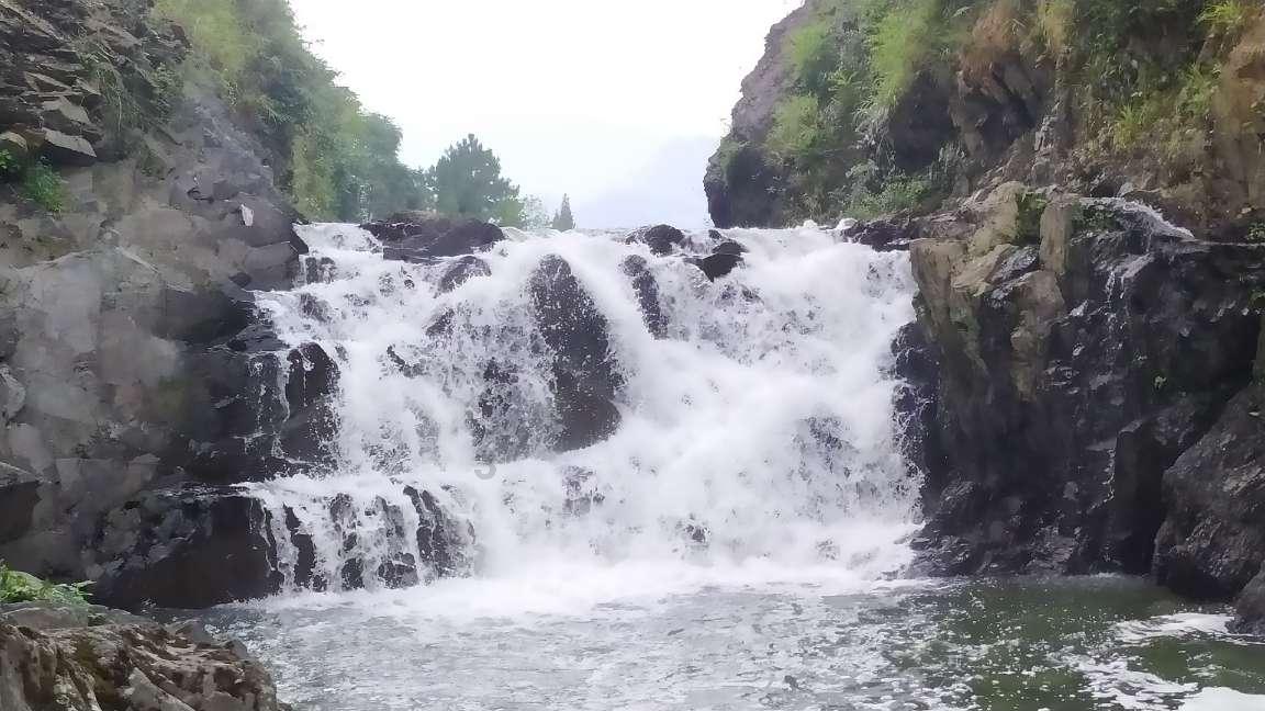 青蛙魔术师